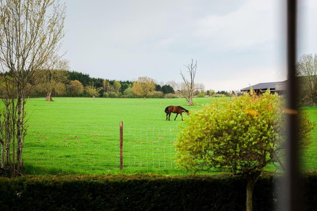 Gite La Dame Au Lit Gite A La Ferme Momignies Exteriér fotografie