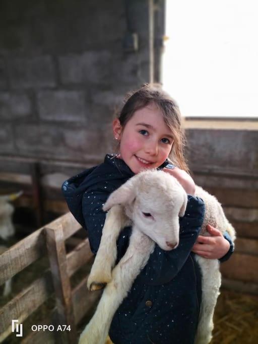Gite La Dame Au Lit Gite A La Ferme Momignies Exteriér fotografie