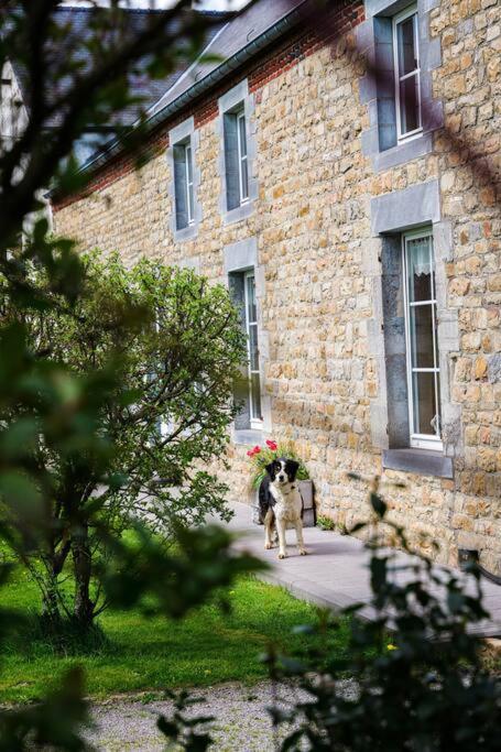 Gite La Dame Au Lit Gite A La Ferme Momignies Exteriér fotografie